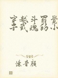 穿越斗罗觉醒竹子武魂的小说