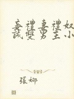 妾礼妻礼奴礼训诫双男主小说