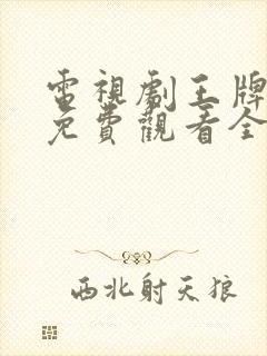 电视剧王牌部队免费观看全集