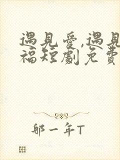 遇见爱,遇见幸福短剧免费看