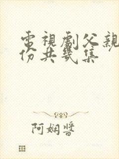 电视剧父亲的身份共几集