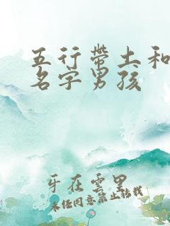 五行带土和金的名字男孩