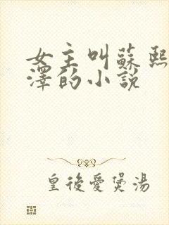 女主叫苏熙凌久泽的小说