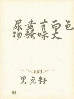 尿黄有白色沉淀物骚味大