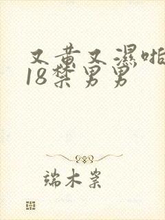 又黄又湿啪啪响18禁男男