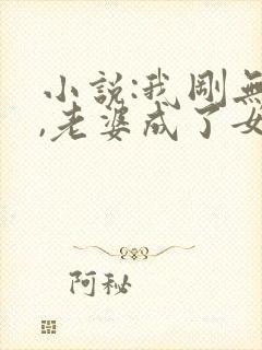 小说:我刚无敌,老婆成了女帝