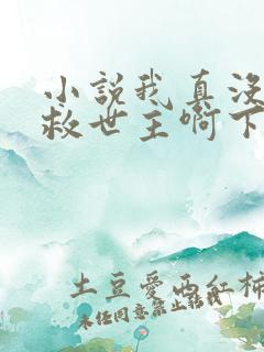 小说我真没想当救世主啊下载