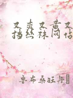 又爽又黄又无遮挡丝袜网站