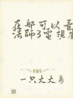 在哪可以看无心法师3电视剧全集