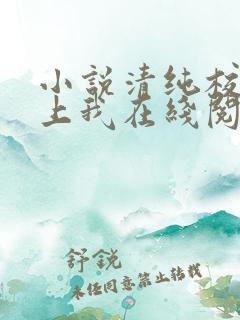 小说清纯校花爱上我在线阅读