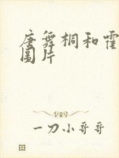 唐舞桐和霍雨浩图片