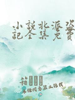 小说北派盗墓笔记全集免费下载