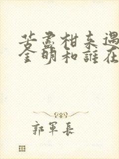 苦尽柑来遇见你金明和谁在一起了