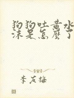 狗狗吐黄水带泡沫是怎么了