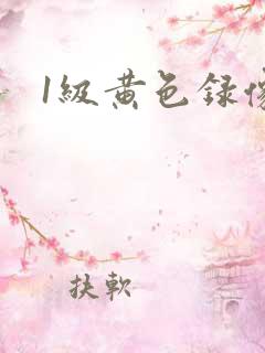 1级黄色录像.