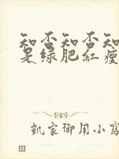 知否知否知否应是绿肥红瘦全集免费观看