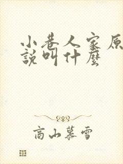 小巷人家原著小说叫什么