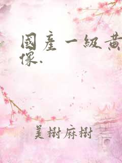 国产一级黄色录像.