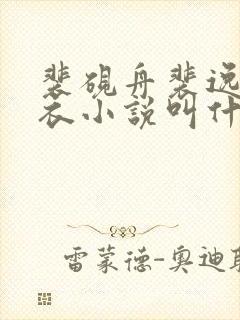 裴砚舟裴逸赵蝉衣小说叫什么名字啊