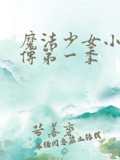 魔法少女小圆外传第一季