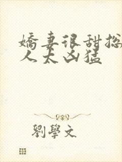 娇妻很甜总裁大人太凶猛