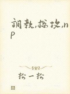 调教,总攻,np
