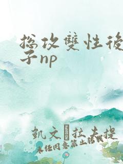 总攻双性后宫生子np
