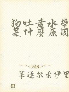 狗吐黄水带泡沫是什么原因引起的