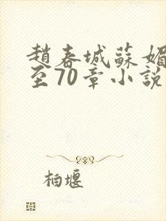 赵春城苏媚1章至70章小说