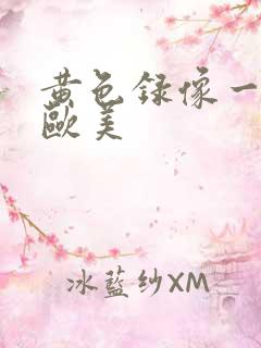 黄色录像一级版欧美