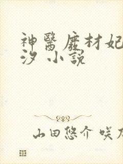 神医废材妃云芷汐 小说