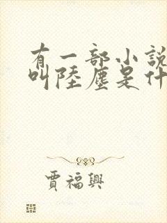 有一部小说主角叫陆尘是什么书