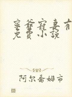 宁爷宠妻有点甜免费小说