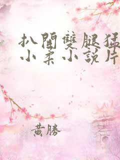 扒开双腿猛进入小柔小说片段