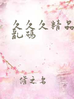 久久久精品国产乱码