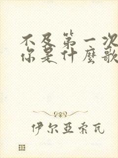 不及第一次遇见你是什么歌的歌词