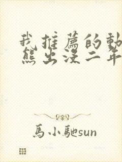 我推荐的动画片熊出没二年级作文