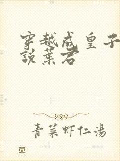 穿越成皇子的小说叶君