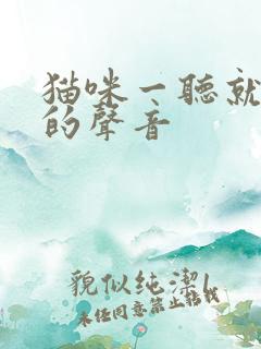 猫咪一听就过来的声音