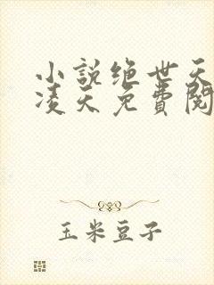 小说绝世天骄叶凌天免费阅读