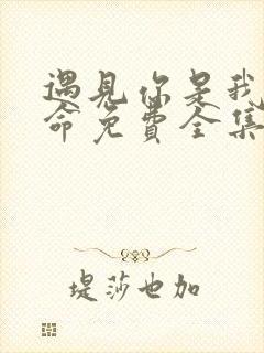遇见你是我的宿命免费全集