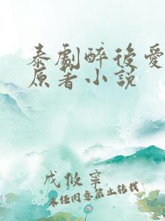 泰剧醉后爱上你原著小说