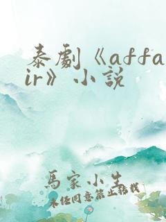 泰剧《affair》小说