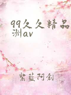 99久久精品亚洲av