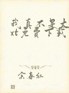 我真不是大佬txt免费下载