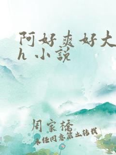 阿好爽好大好硬h 小说