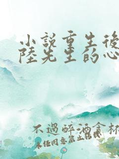 小说重生后成了陆先生的心尖宠