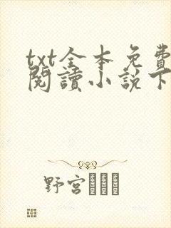 txt全本免费阅读小说下载软件