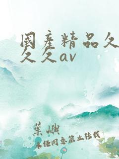 国产精品久久久久久av