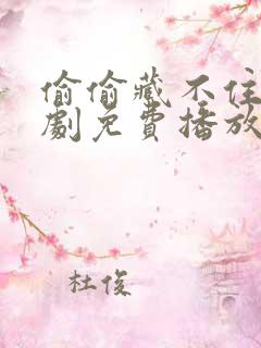 偷偷藏不住电视剧免费播放在线